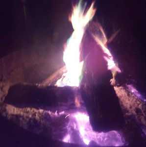 Meet your Posher, Anita